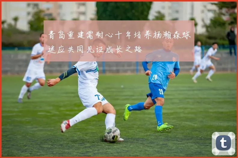 青岛重建需耐心十年培养杨瀚森球迷应共同见证成长之路